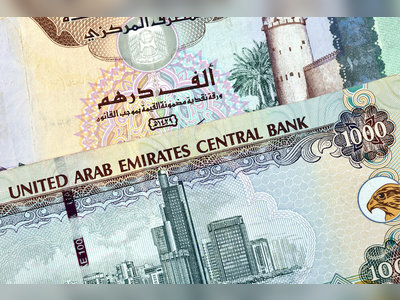 UAE central bank issues best practice rules for financial products