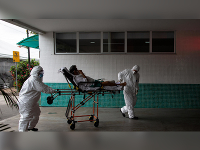 What has governments so concerned about the Brazilian coronavirus variant?