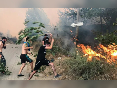 Algeria Wildfires Kill 42, Authorities Blame Arson