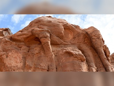 Researchers Have Uncovered Massive Camel Structures in Northwestern Saudi Arabia
