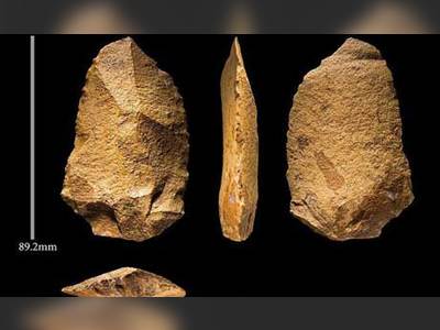 Saudi Arabia discovers evidence of early human migrations from Africa