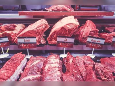 Saudi Arabia bans beef imports from Brazilian meatpackers