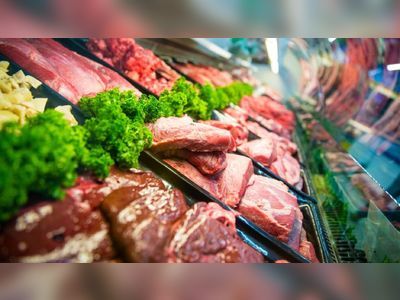Saudi Arabia revokes the ban on imports of Brazilian meat from 5 factories