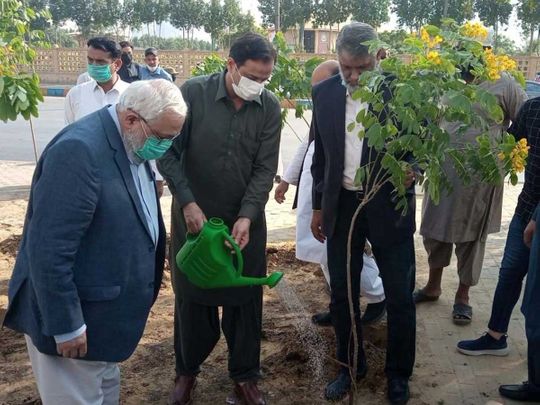 Karachi municipality to grow 300 Miyawaki forests