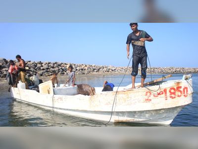 Coalition warplanes force Yemen's fishermen into the shallows