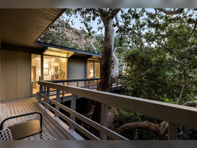 Hollywood Hills Midcentury Hovers in a Sycamore Canopy