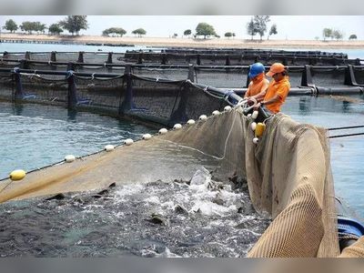 Saudi Fisheries reports 45% higher losses in 9 months