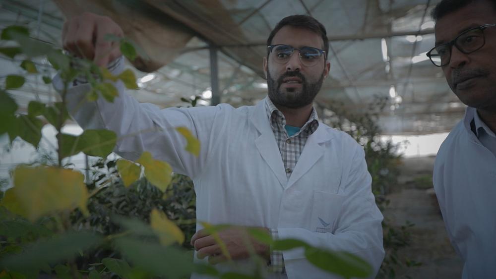 Planting for the future: Morocco lays the seeds for Africa's agricultural revolution