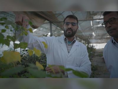 Planting for the future: Morocco lays the seeds for Africa's agricultural revolution