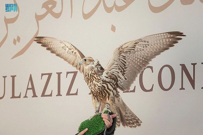Falconers from nine countries compete at King Abdulaziz Falconry Festival in Riyadh
