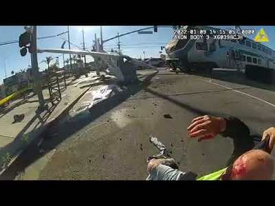 LAPD officers pull pilot from plane seconds before train crash in dramatic video