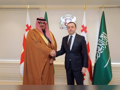Georgian PM discusses relations with Saudi minister of economy