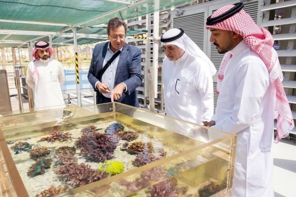 KAUST receives Amazon donation to support research project on coral reef conservation