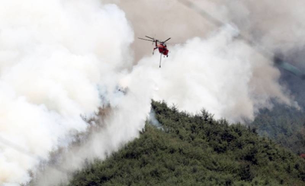 Wildfire spreads in South Korea's Miryang; over 470 villagers evacuated