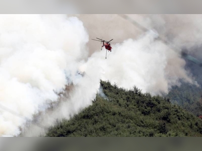 Wildfire spreads in South Korea's Miryang; over 470 villagers evacuated