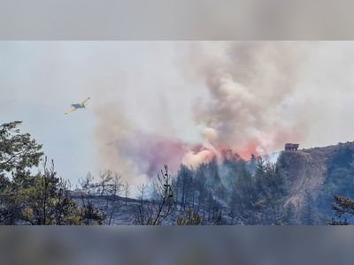 Wildfire in southwest Turkey rages; arson suspect detained