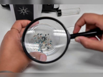 Microplastics found in fresh Antarctic snow