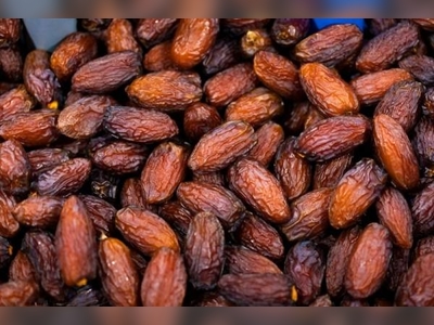 GASTAT: Saudi dates exports increase by 4.8% in Q1