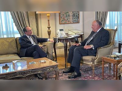 Austrian, Egyptian FMs hold talks in Cairo