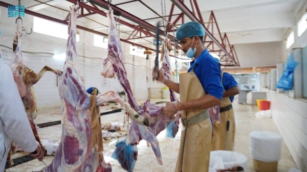 Slaughterhouses of MEWA received more than 600,000 sacrifices in 3 days of Eid
