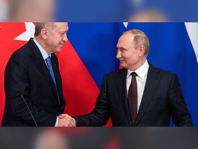 Erdogan urges Putin to keep Syria aid crossing open