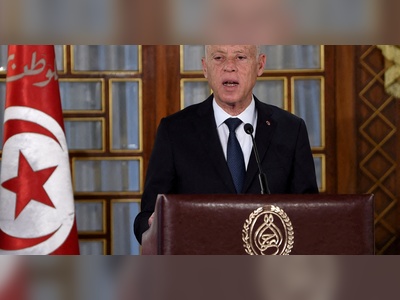 Tunisian constitution committee head condemns president’s draft