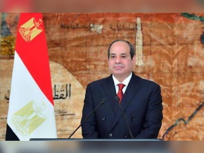 Egypt can't steer away from global challenges - President