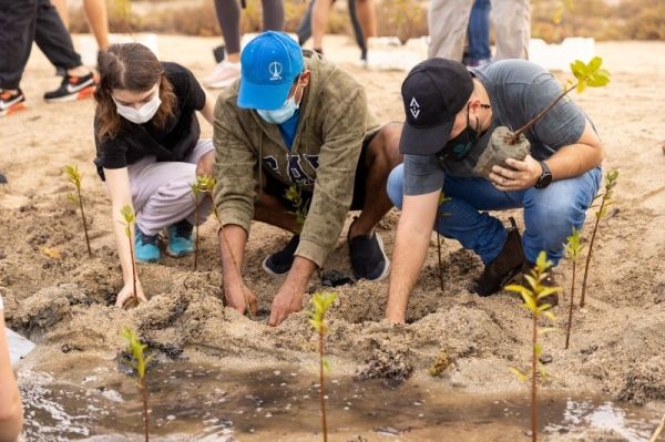 KAUST drive in mangrove forest conservation to offset carbon emissions