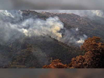 Death toll rises to 26 in forest fires spread in north Algeria