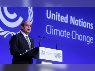Egyptian NGOs complain of being shut out of Cop27 climate summit