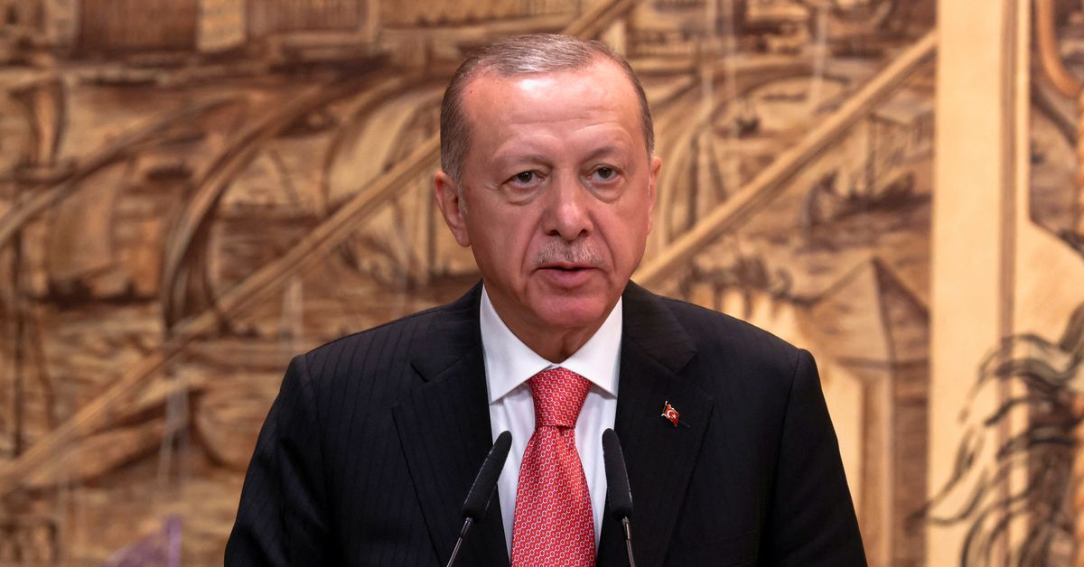 Erdogan accuses Greece of 'occupying' demilitarised islands
