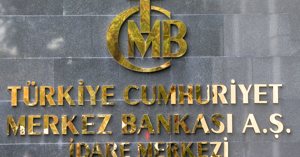 Turkey's central bank reserves boosted by friendly country support, Erdogan says