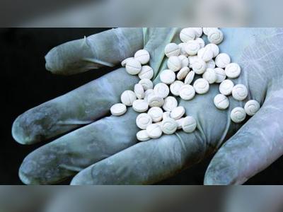 Lebanon Seizes 1 Mn Captagon Pills Intended for Smuggling to Kuwait
