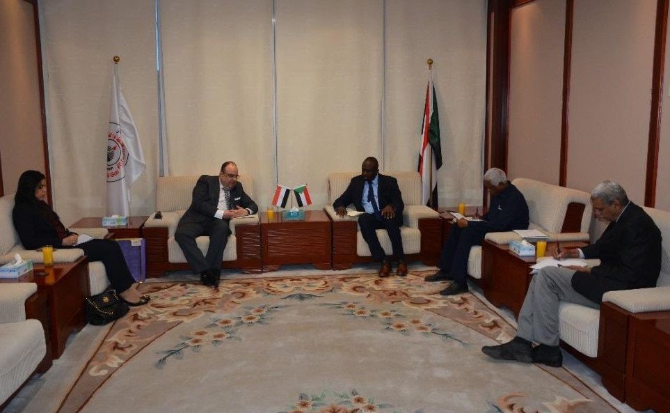 Egypt, Sudan hold energy talks