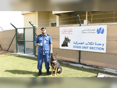 K9 detectives: The Dubai Customs sniffer dogs bringing down drug smugglers