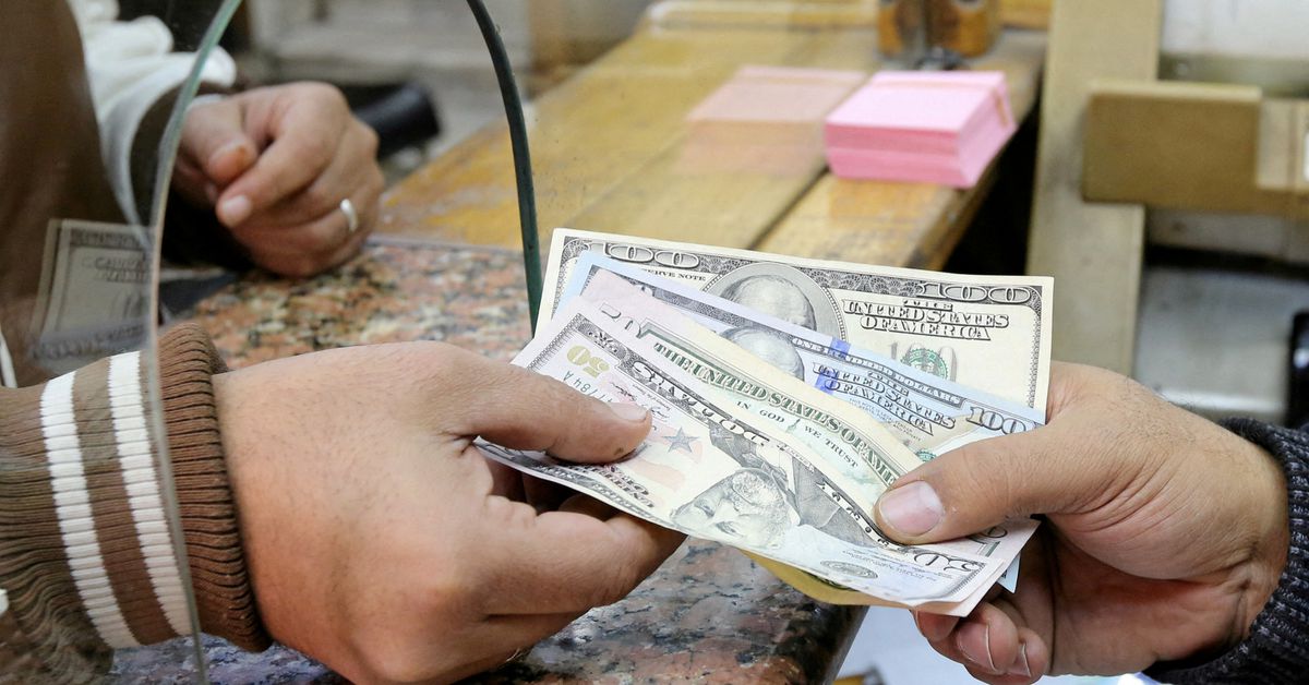 Egypt's pound sinks further against dollar after flexibility pledge