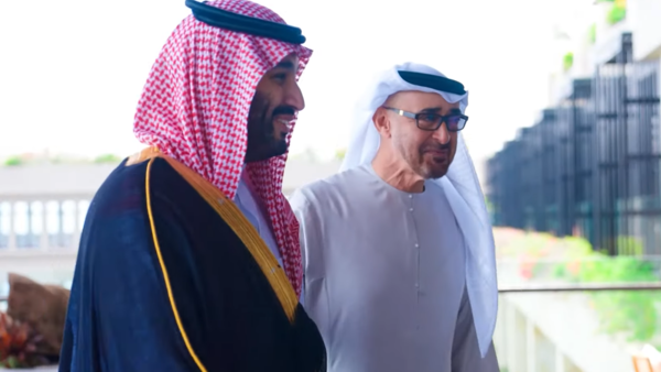 UAE President meets Saudi Arabia's Crown Prince on sidelines of G20 summit