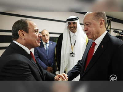 Sisi and Erdogan agree that World Cup handshake will be start of new relations