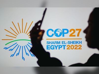 Egyptian regime criticized as climate activist arrested in run-up to Cop27