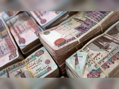 Egypt’s devaluation ushers in volatility as pound plumbs new low