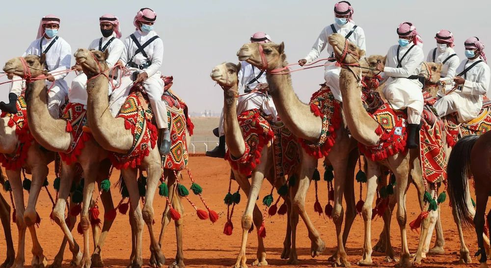 Beauty queens of the desert steal the show at Saudi Arabia’s King Abdulaziz Camel Festival