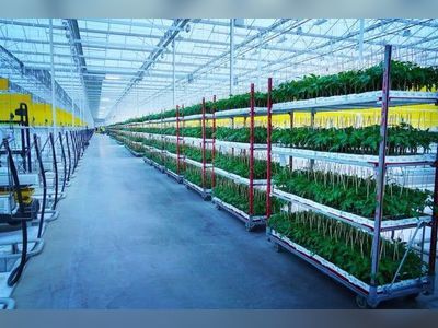 PIF signs deal to build indoor vertical farms in Saudi Arabia