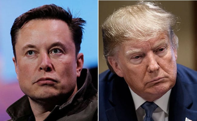 Elon Musk Says Donald Trump Will Get A Landslide Victory In 2024 If Indicted