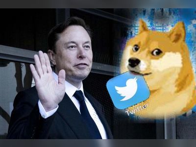 Elon Musk Replaces Twitter's Blue Bird Logo With 'Doge' Meme