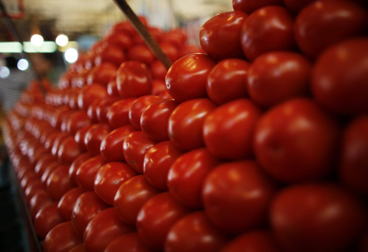 New Study Reveals Tomatoes May Eradicate Salmonella