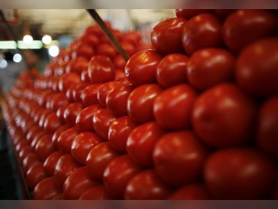 New Study Reveals Tomatoes May Eradicate Salmonella
