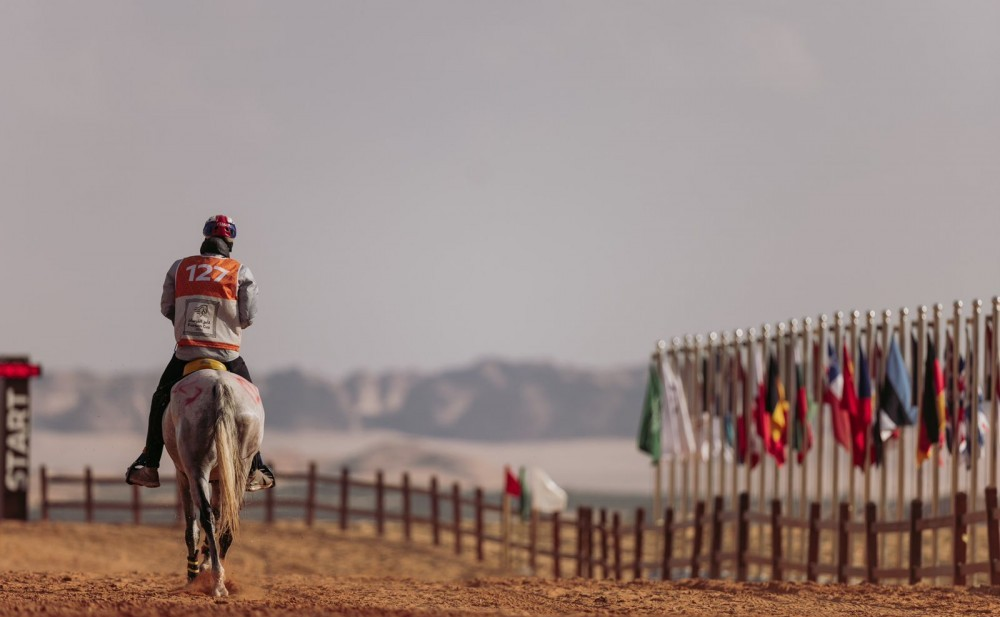 Qatari Knight Clinches the International King's Cup Endurance Championship 2024