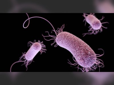 Innovative Drug from Fatty Acids in Nanoparticles Treats Resistant Infections