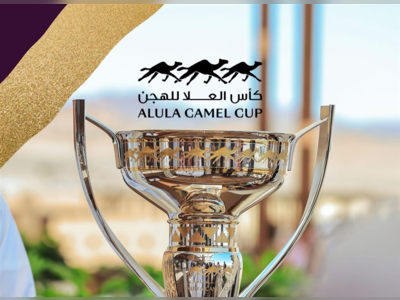 AlUla Camel Cup Prizes Surpass 80 Million Riyals